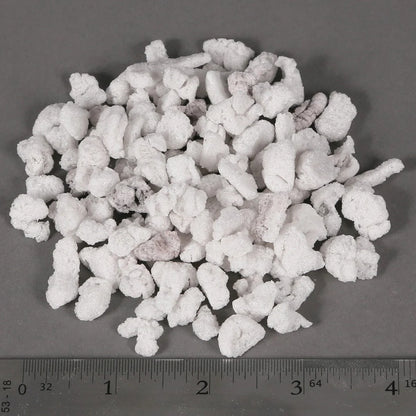 Mother Earth Large & Coarse Perlite #3 - #3 perlite granules with scale