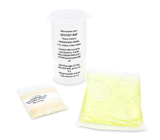 Multkit-BAP-Multiplication-Media-Bottle Main Image