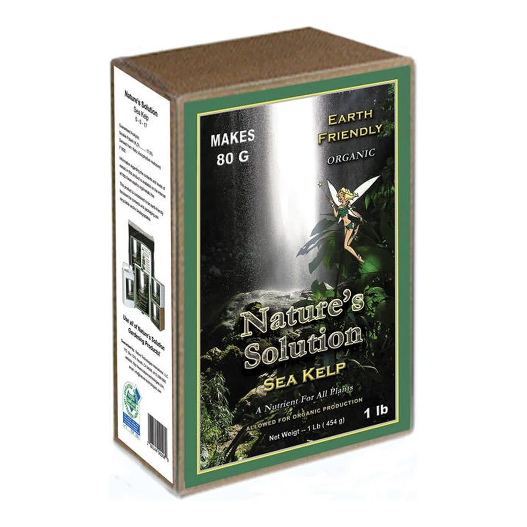 Nature's Solution Organic Sea Kelp 1 lb bag on a white background