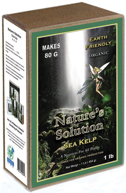 Organic Sea Kelp 1lb