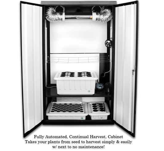 SuperNova - Grow Boxes