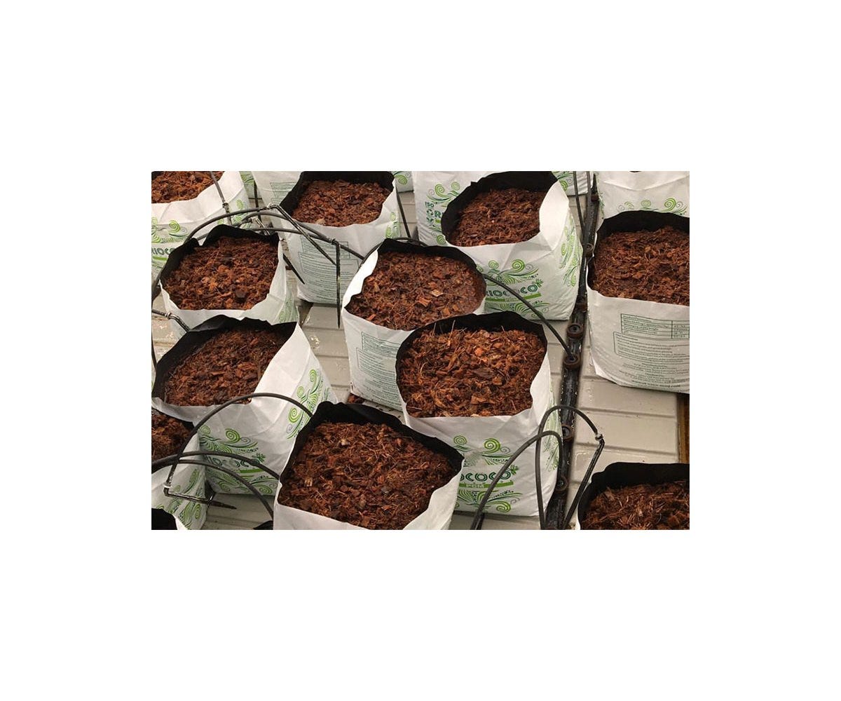 Riococo PCM Organic Open Top Bag - 2 Gal - 8.5" x 7" x 7"
