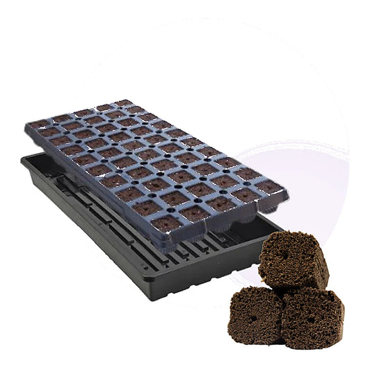 OrganiPlug pre-filled tray with 50 seed and cutting plugs and catch tray