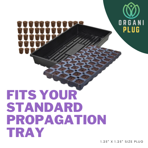 OrganiPlug Seed and Cutting Plugs - Pre-Filled Tray w/ 50 Plugs Case of 7 Trays - 350 Plug Fits your Standard Propagation Tray