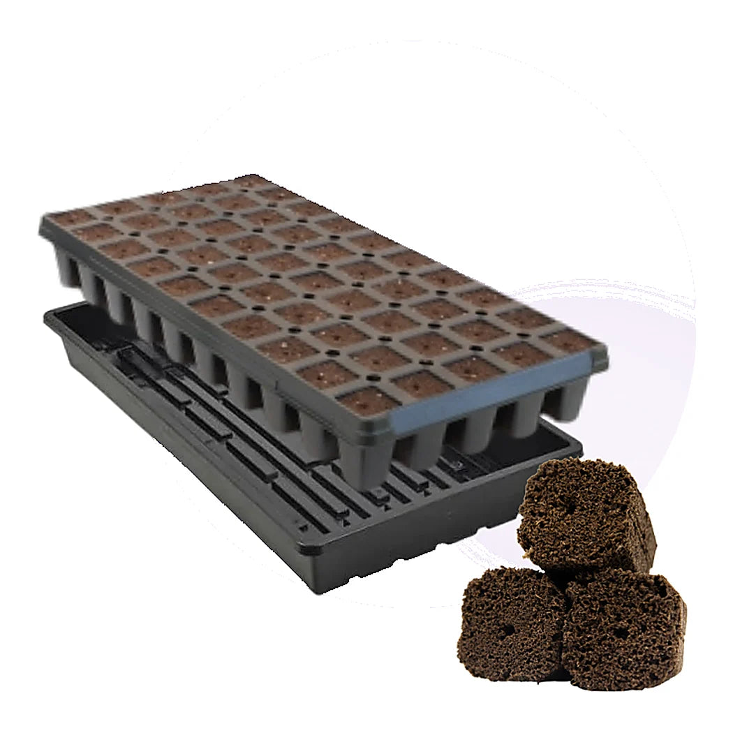 OrganiPlug pre-filled tray with 50 tall plugs and catch tray