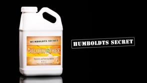 Humboldts Secret Golden Tree overview