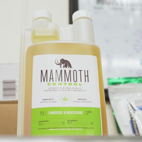 Mammoth Control 25b Exempt