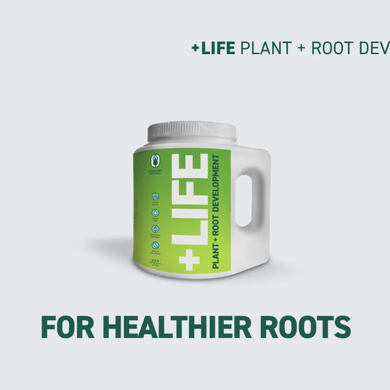 +life Powdered Probiotic overview