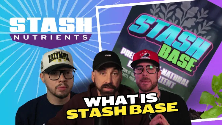 Subtle Stash Stash Nutrient Kits – Base, Bloom & Blend Fertilizer System – GrowersHouse