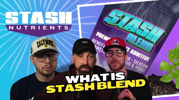 Stash Nutrients - Stash Blend Informational Video