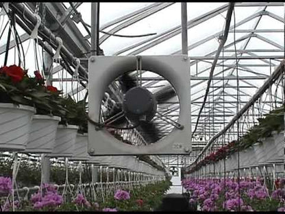 AME Horizontal Air Flow Fan Running in Greenhouse