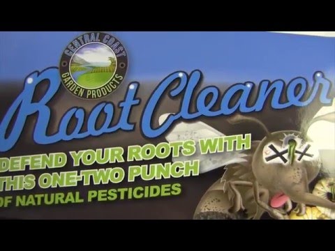Root Cleaner overview