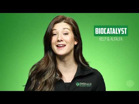 Emerald Harvest Emerald Goddess Premium Plant Tonic Overview