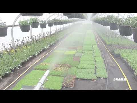 PulsFOG K 22 BIO Running in Greenhouse