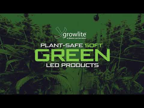 Growlite Soft Green LED overview
