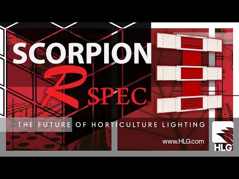 HLG Scorpion R Spec promotional