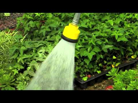 Dramm 750PL Lemonhead overview
