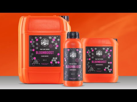 Aptus Bloombost why you have to use it