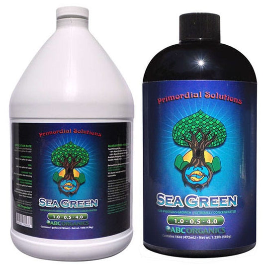Primordial Solutions - Sea Green