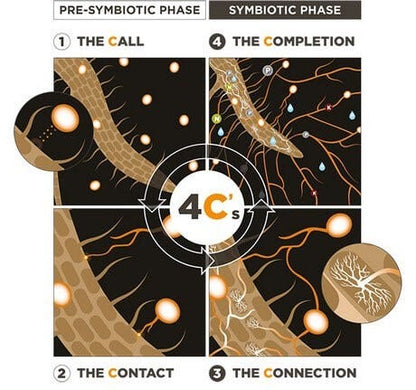 Premier Tech Pro-Mix Connect Mycorrhizae Inoculant Powder 2.5kg 5.5lb Connection Image