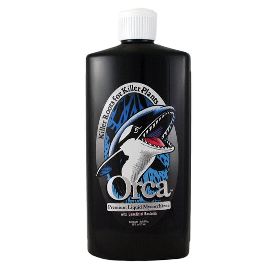 Orca 16 Oz.