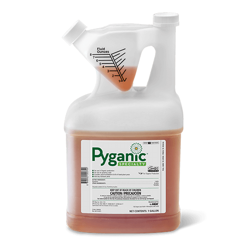 PyGanic Specialty - 1 Gallon Main Image