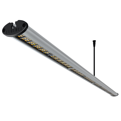 Fluence RAY22 Slim Multipurpose LED Grow Light Bar