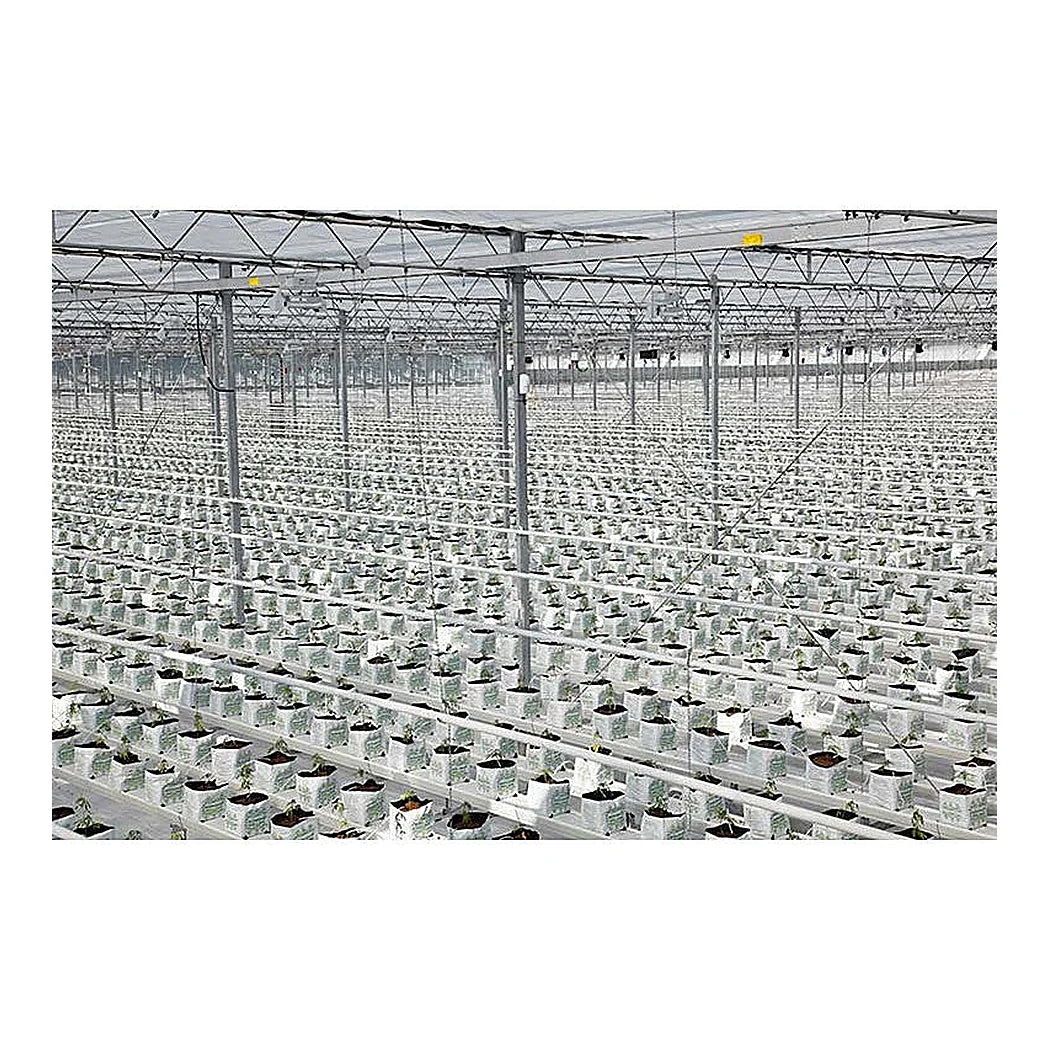 Riococo PCM open top bags installed in a greenhouse