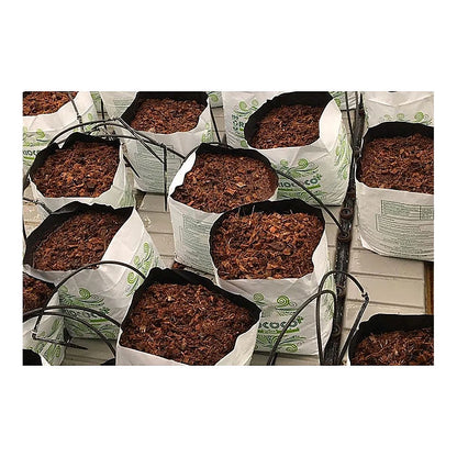 Row of Riococo PCM open top bags with drip lines