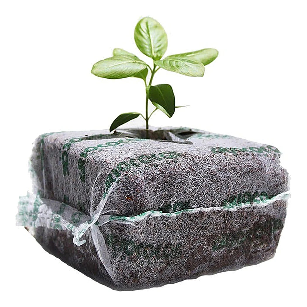 Riococo PCM starter block with seedling