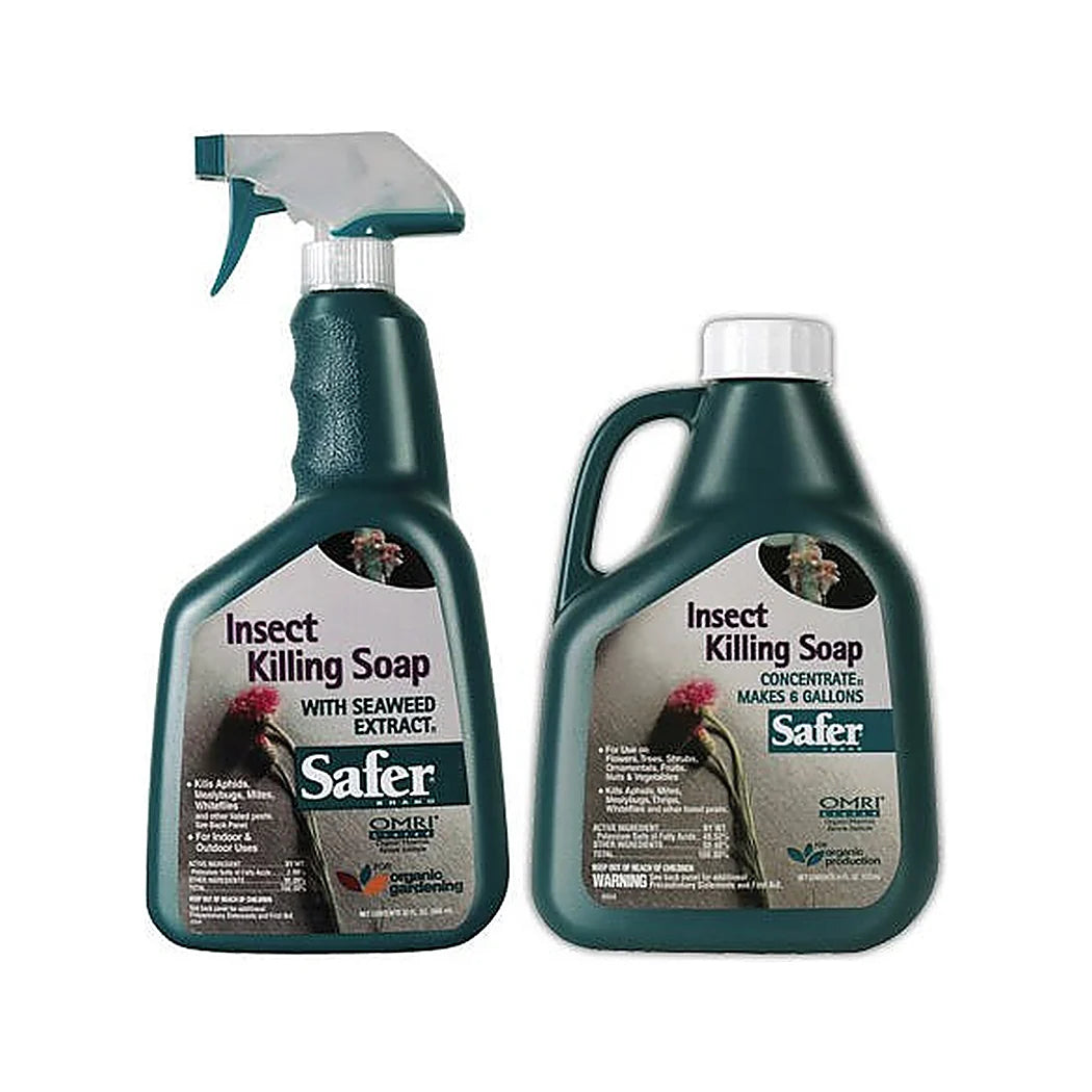 Safer Insect Killing Soap II ready to use spray and 16 oz concentrate