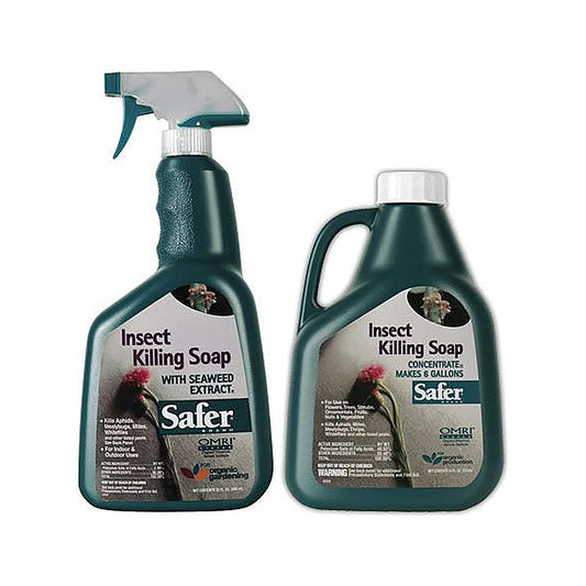 Safer Insect Killing Soap II ready to use spray and 16 oz concentrate