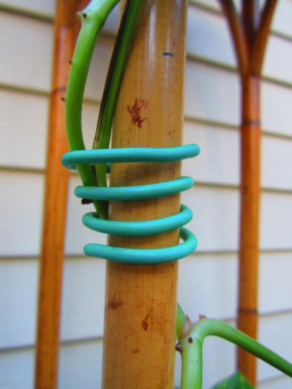 Green Garden Soft Tie for Plants - 8 Meters (26 Feet)