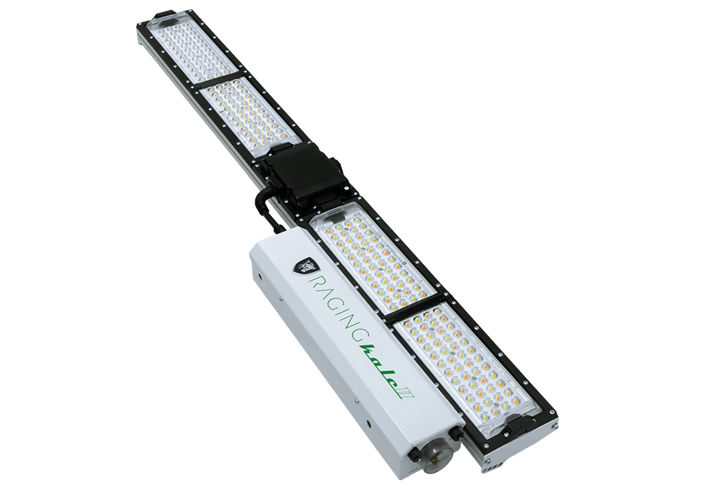 Scynce LED Raging Kale II 250W LED Grow Light Main Image