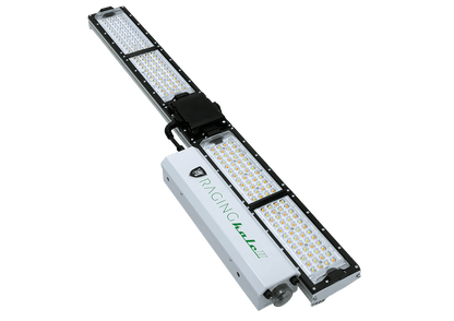 Scynce LED Raging Kale II 250W LED Grow Light Main Image