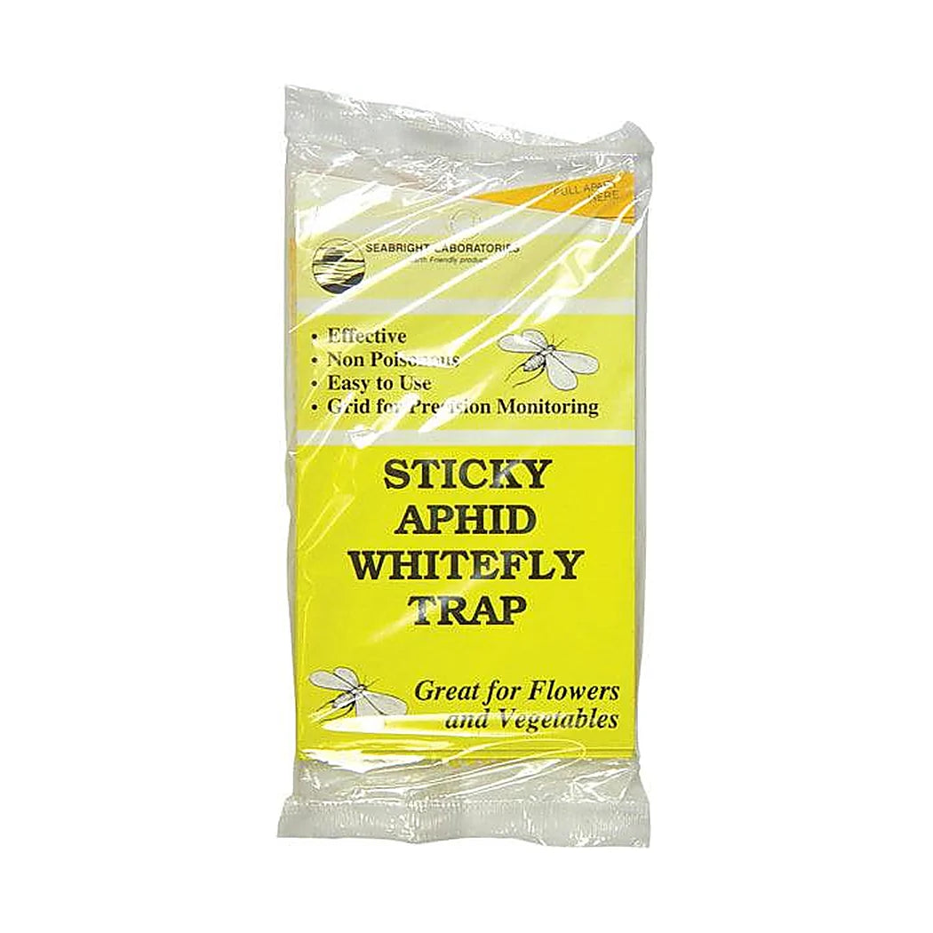 Seabright Laboratories sticky aphid whitefly traps, sealed 5 pack