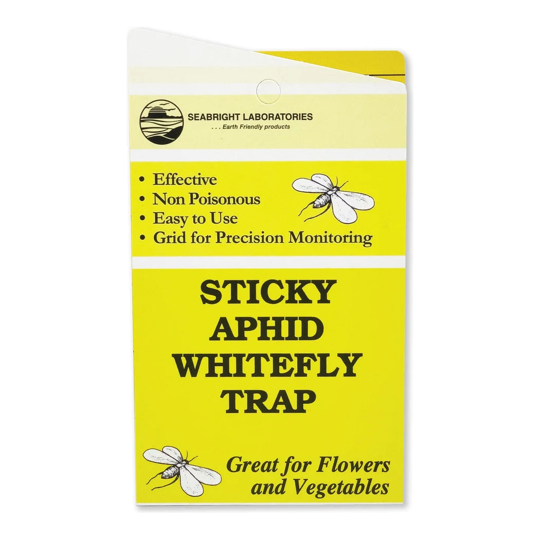 Folded Seabright yellow aphid whitefly trap card, front label