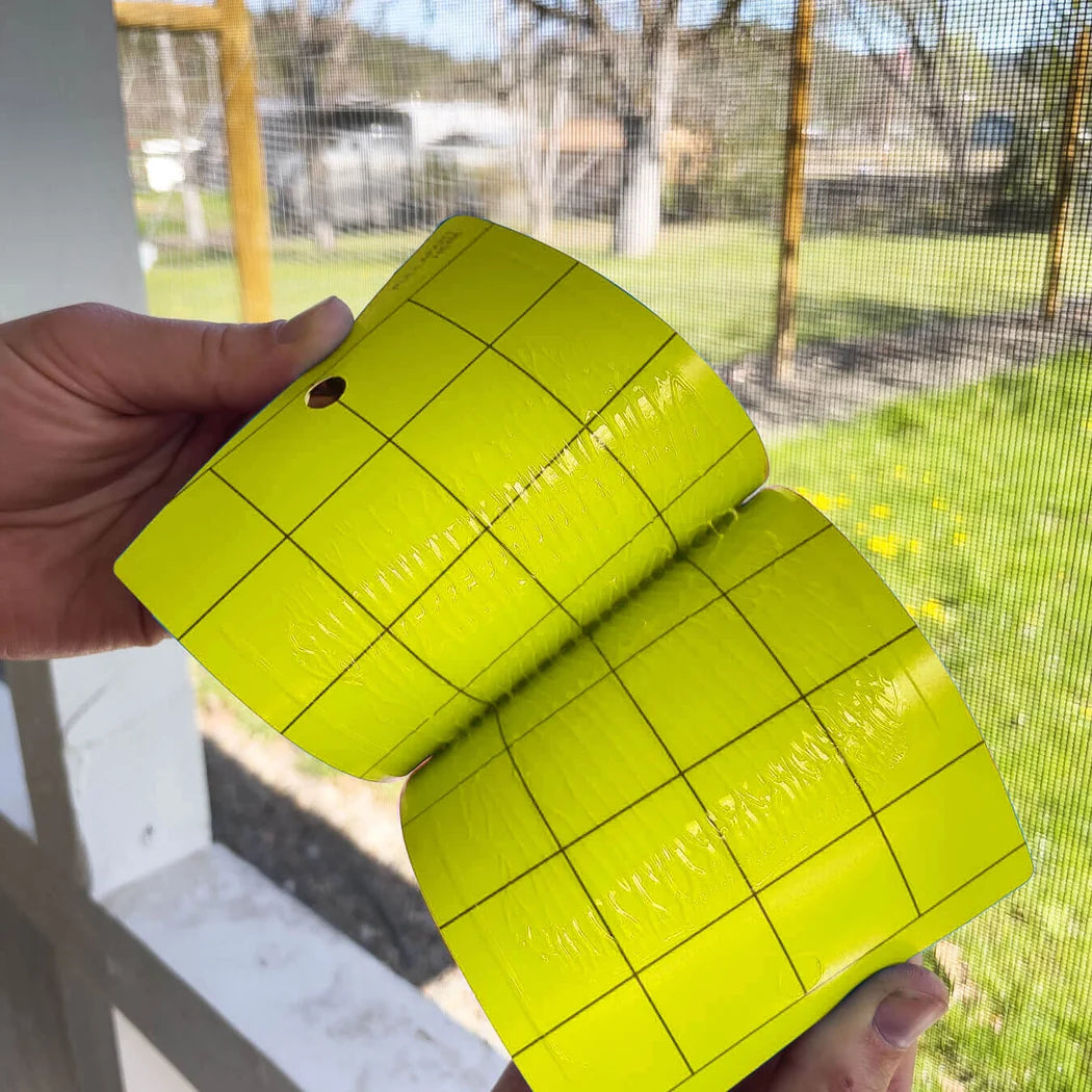 Seabright yellow sticky trap opened to show the printed counting grid