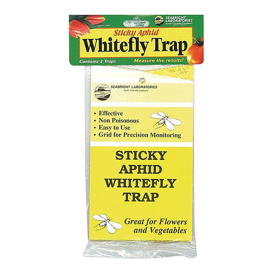 Seabright sticky aphid whitefly trap header-card pack containing 3 yellow traps
