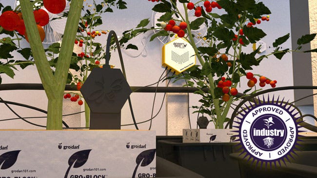 SmartBee Water Content Sensor Probe works in both soil and hydro media