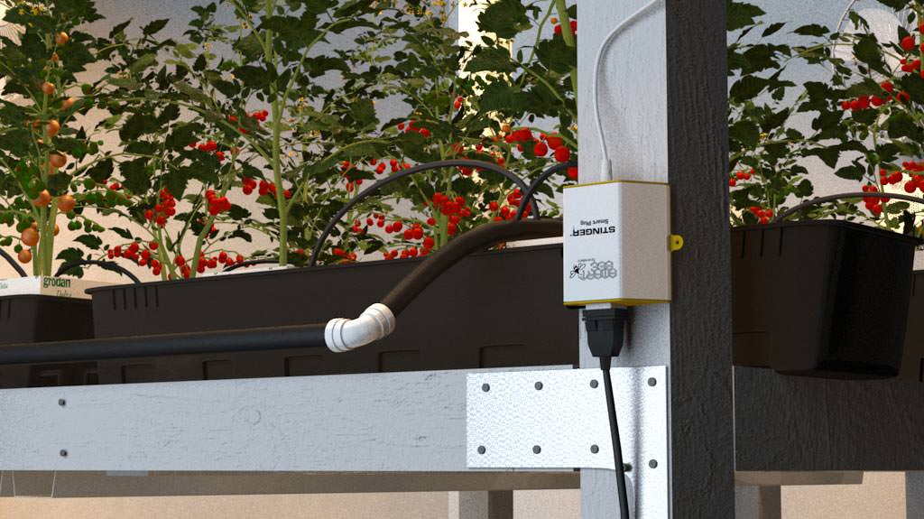 SmartBee Stinger Smart Plug