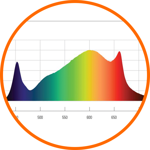 Fluence Spydr Fang LED Grow Light Spectrum Graph