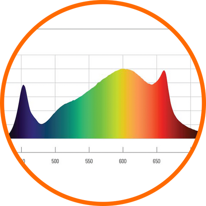 Fluence Spydr Fang LED Grow Light Spectrum Graph