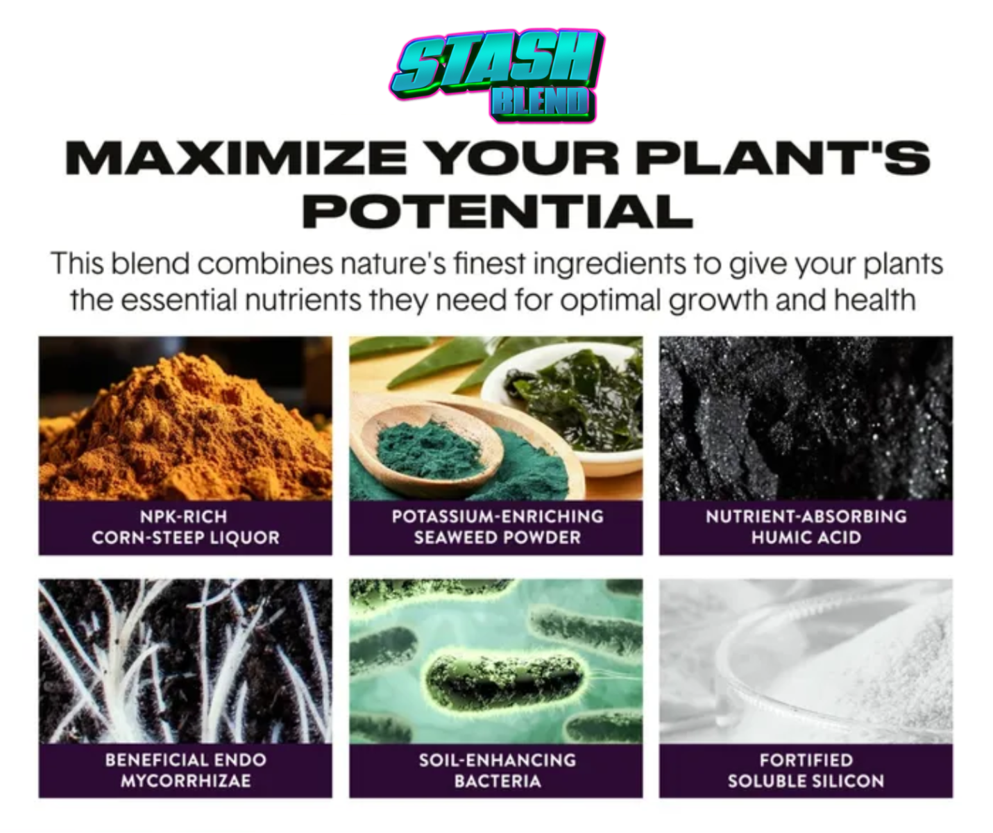 Stash Blend Ingredients