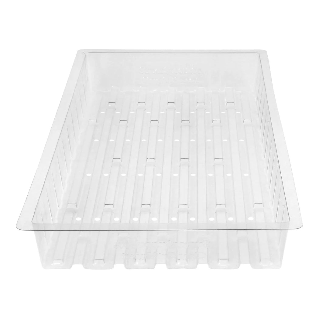 Super Sprouter - Clear Cut - Insert Tray w/ Holes - tray, angled view