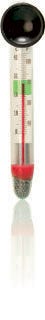 Floating Thermometer