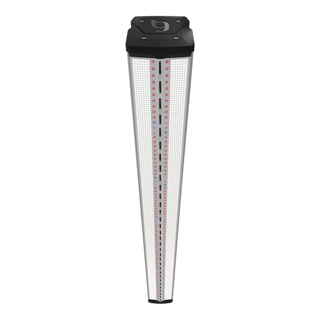 ThinkGrow Model-I Plus light face