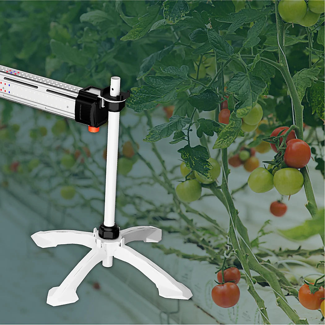 TSD-1 stand holding an ICL-300 bar between tomato rows