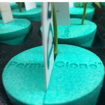 PermaClone - TurboKlone - Oxyclone - Clone King Retrofit (46mm/1.8) Collars