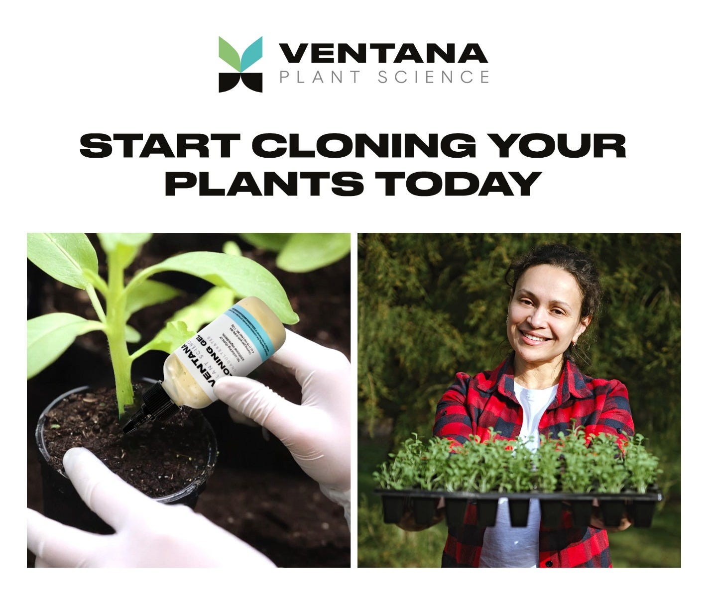 Ventana Plant Science Cloning Gel - 4 Oz (118 Ml) - Start Cloning